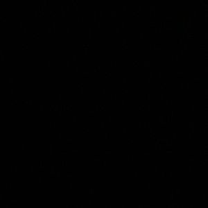 Meet your Posher, Mayra